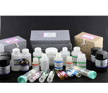 ���W(xu��)ԇ��